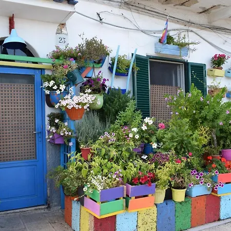 Apartmán Baricentrum